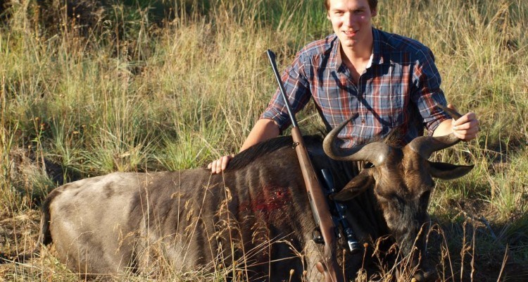 gnu trofæ fra afrika