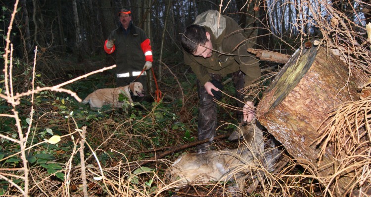 enden er god alting godt