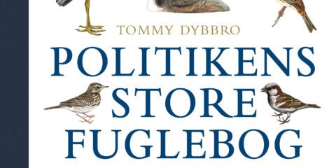 Politikens store fuglebog