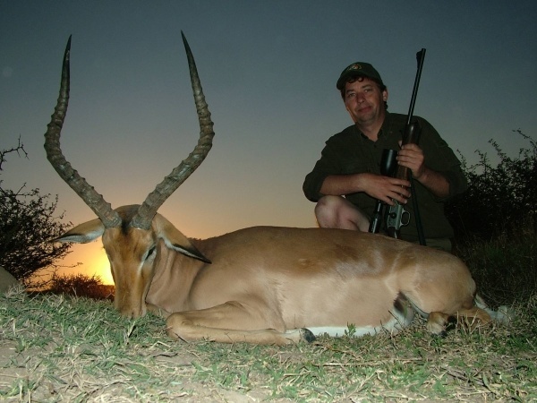 Impala jagt Afrika