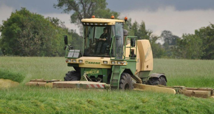 Slåning af ensilage. Foto Peter Mooney