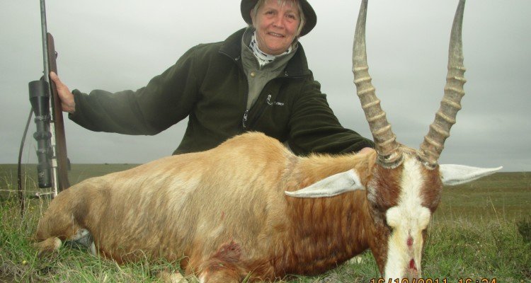 afrika 145 Bleshbuck i 11 time