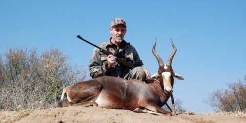 bleesbuk jagt i sydafrika jagt