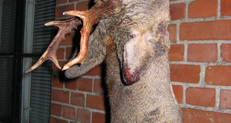 Ulig eller lige seksender