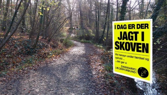 Jagt i skoven