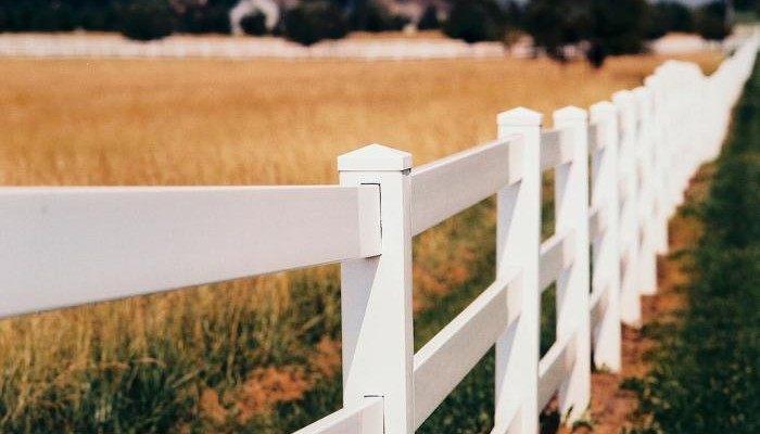 jagtlovgivningen jagt nabo mark