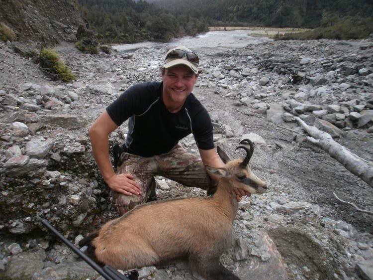 Gemse buk skudt i New Zealand