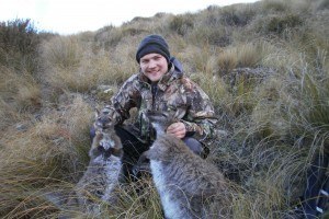 Wallaby jagt i New Zealand