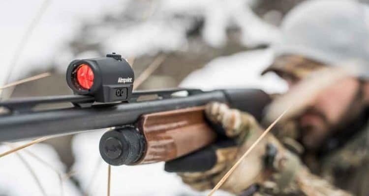 Rødpunktsigte i vintervejr