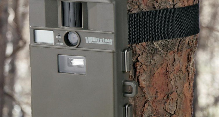 vildtkamera