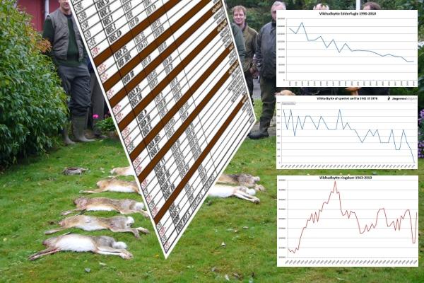 Gennem flere år har manglende indberetning af vildt været utilfredsstillende.